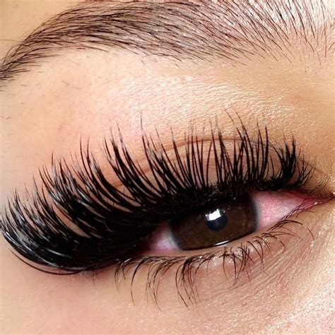 Eye Makeup Lashes