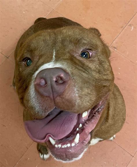 Warner Robins Police Department | Warner Robins GA