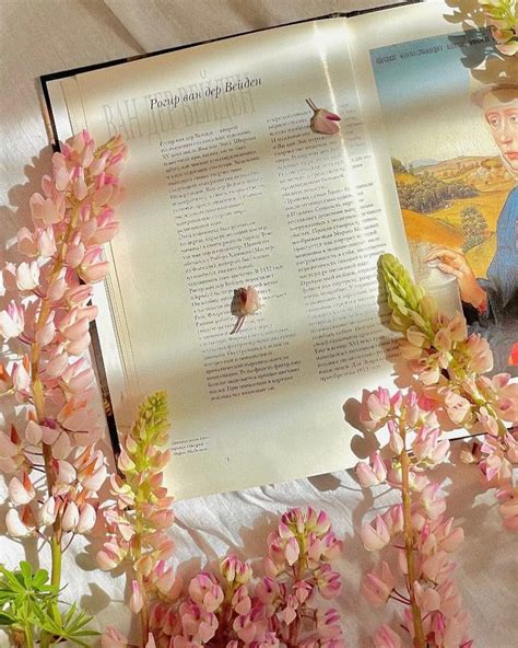 Розовые люпины🌸 У них такой сладкий аромат. | Instagram