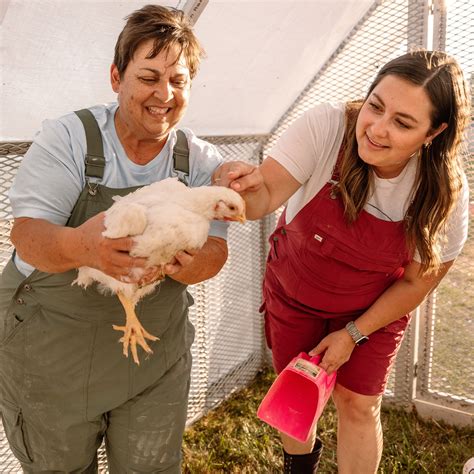 The main goal with housing your meat birds are: Is there heat for the