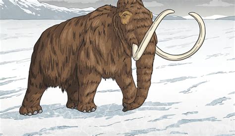 Woolly Mammoth Making a Comeback? - Twinkl NewsRoom - Twinkl