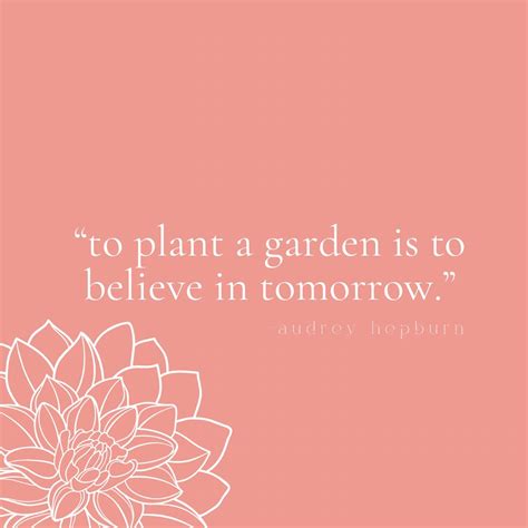 Mr Dahlia - Barossa Valley (@thehiddenflowerfarm) • Instagram photos ...