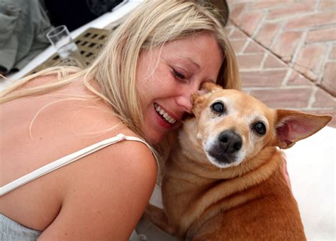 Adoption Process | SOS Animals UKSOS Animals UK