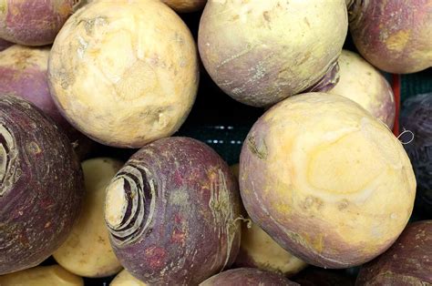 Купить семена Брюква Rutabaga Canadian Gem F1 в Москве: доставка семян ...