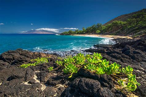 Little Beach Maui Hawaii Stock Photos, Pictures & Royalty-Free Images ...