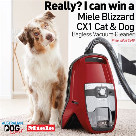 Miele Blizzard CX1 Cat & Dog Competition | Australian Dog Lover