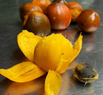 tembe afrodisiaco  nutritivo el chef dice