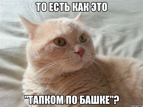 то есть как это "тапком по башке"?, Мем Мем - Рисовач .Ру