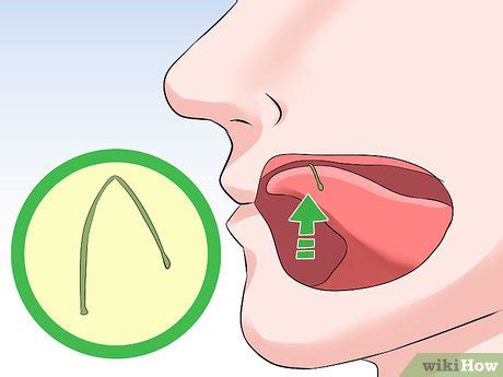 3 Ways to Tie a Knot in a Cherry Stem With Your Tongue - wikiHow