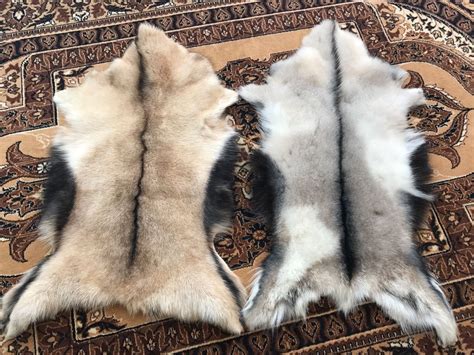 Шкура горной козы для одежды (54 фото) - картинки и фото fashionhot.club