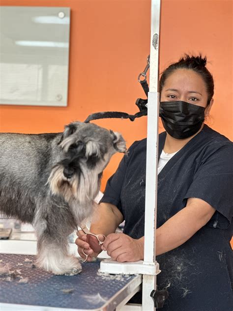 Team — Roosevelt Pups