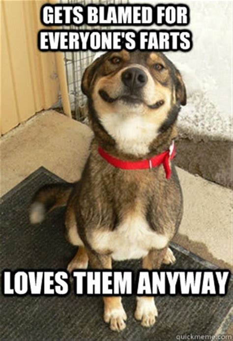 funny dog pictures, farts - Dump A Day