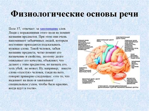 Современные технологии диагностики нарушений речи - презентация онлайн