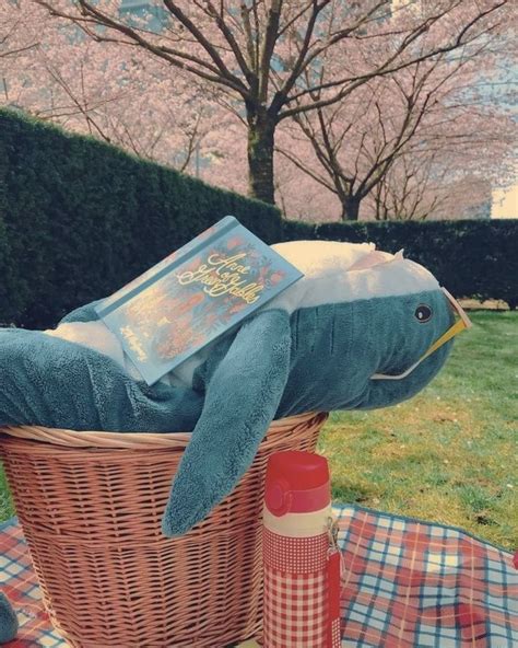 🦈🦈🦈🦈🦈🦈🦈 | Синяя акула, Обои, Фотографии задних планов