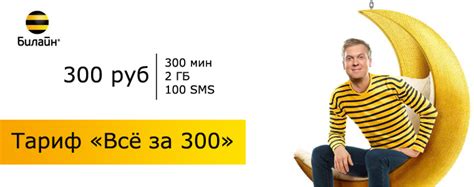 Тариф «Все за 300» Билайн – описание, подключение, отзывы