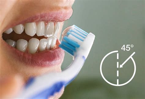 brush  teeth proper brushing technique