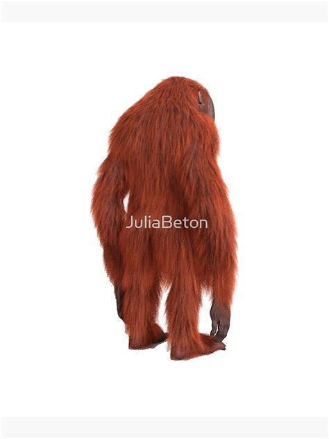 "orangutan monkey stinky back" Poster for Sale by JuliaBeton | Redbubble