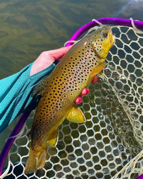 Erin (@femboy_fishing) • Instagram photos and videos