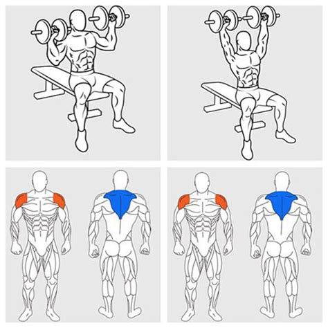 Dumbbell Shoulder Press Shoulder Workout | Fitness Workouts & Exercises