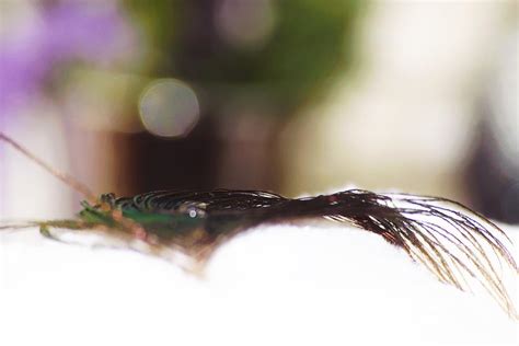 Soft Touch Photograph by Lkb Art And Photography - Fine Art America