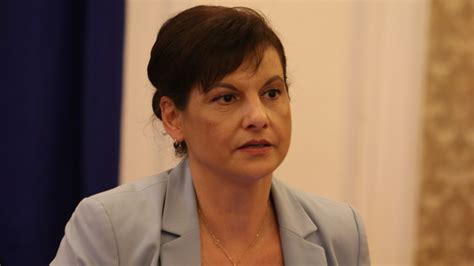 Даниела Дариткова: Не се търси конституционно мнозинство в този ...