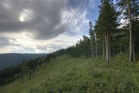 10 Lush Forest Destinations for People Who Truly Love The Woods