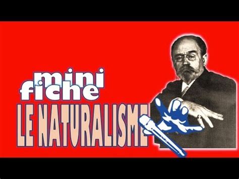 Le naturalisme - YouTube