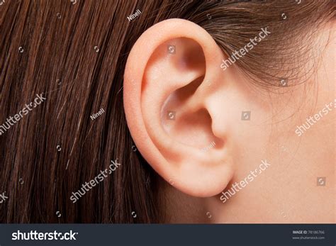 human ear closeup stock photo  shutterstock