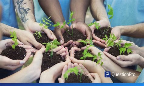 essential nonprofit survey examples questionpro