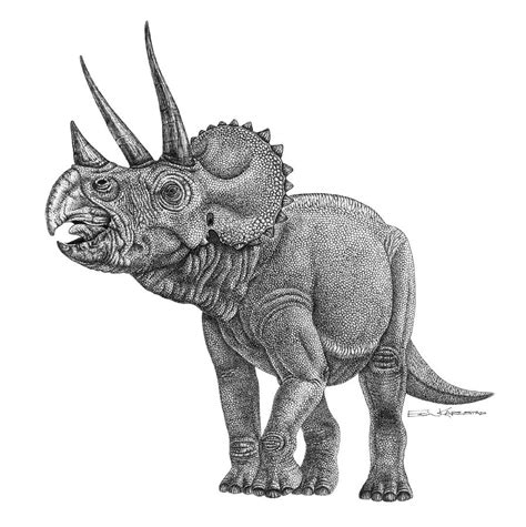 Triceratops Drawing at PaintingValley.com | Explore collection of ...