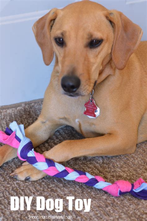 upcycled diy dog toys  resourceful mama