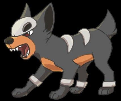 houndour pokemon teams pokemon  pokemon