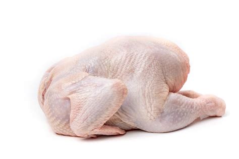 Premium Photo | Raw chicken carcass isolated on a white background ...