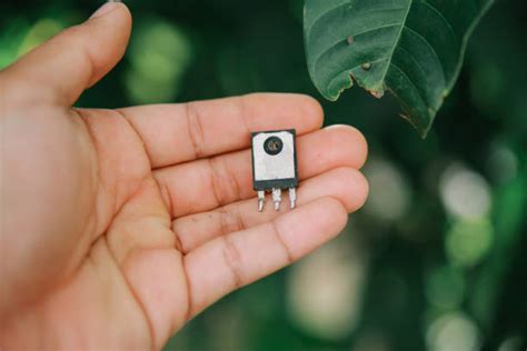 40+ Igbt Stock Photos, Pictures & Royalty-Free Images - iStock
