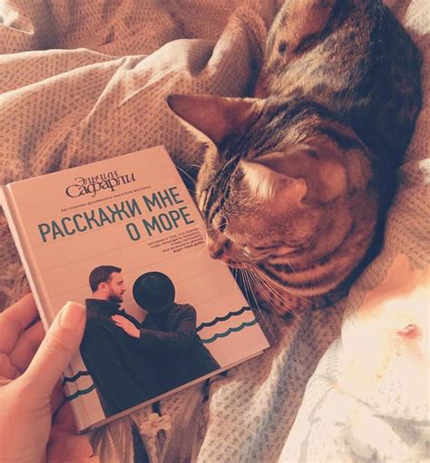 Расскажи мне о море | Хорошие книги, Рекомендованные книги, Книголюб