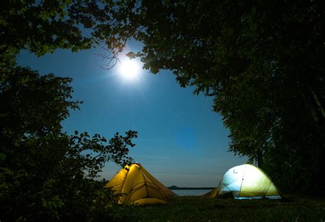 Camping out in forest HD wallpaper | Wallpaper Flare