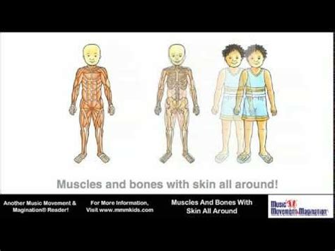 love science unit   musculoskeletal system