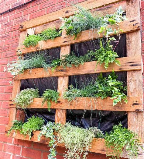Pallet Garden Wall Ideas: Inspiring Vertical Gardens for Your Space ...