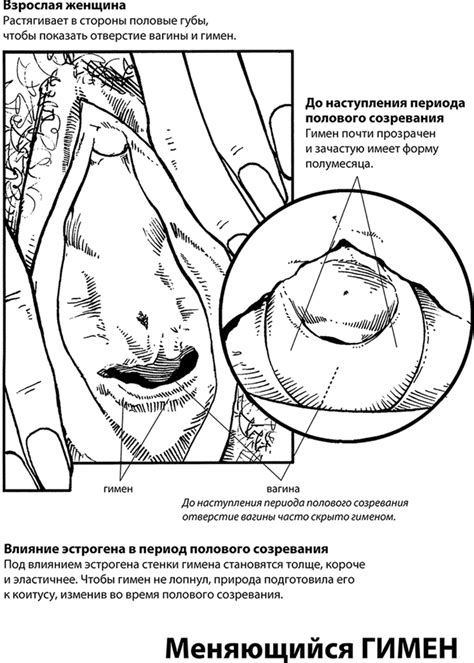 От пищевой пленки до спандекса — Студопедия