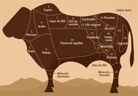 Onde Fica A Fraldinha No Boi - Mapa do boi: saiba qual é o melhor preparo para cada tipo de corte ...