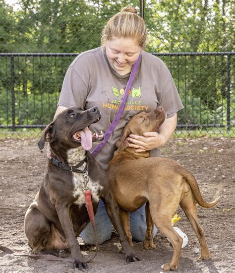 Adopt a Pet in Jacksonville FL at The Jax Humane Society