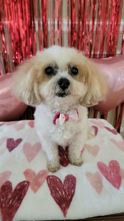 Parson Mortuary and Cremation Center: Service Overview 33