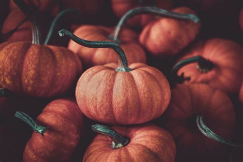 1000+ Interesting Pumpkins Photos · Pexels · Free Stock Photos