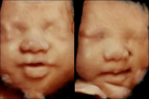 tafsir mimpi bergambar 2d 3d 4d 4