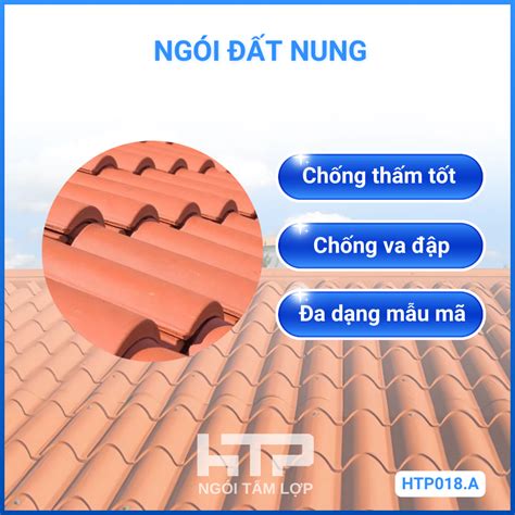 ngoi dat nung cong ty  phan hong tam phat
