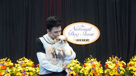 Celebrate the National Dog Show Presented by Purina® and the Holiday