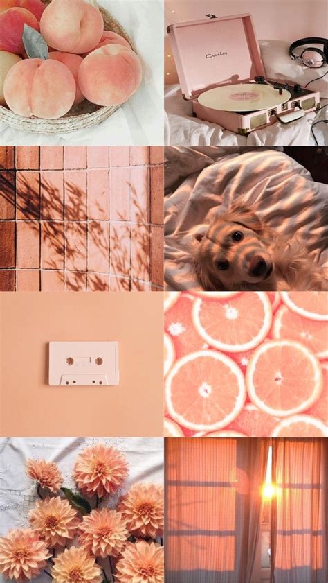 Peach Pastel Orange Aesthetic Wallpaper - Garotas Sensa