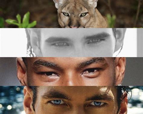 Hunter (Predator) Eyes vs Prey Eyes in Humans: What Is It And How To Get It