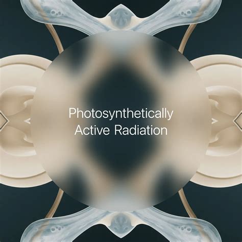 Mobile notifications for wjcc studentvue will be active next term 2