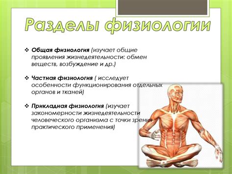 Анатомия и физиология человека - презентация онлайн
